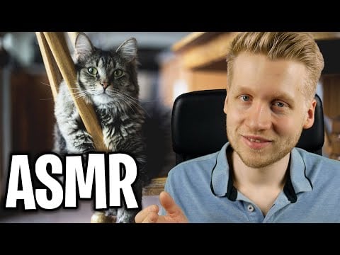 ASMR | Fakten über Katzen! 😺- Entspann & Lerne bei mir 😴