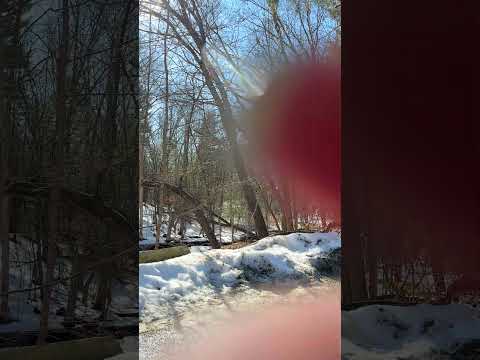 Tapping on you 😊 #natureasmr #asmrsounds #asmrvideo #asmrtapping #visualtingle #relax