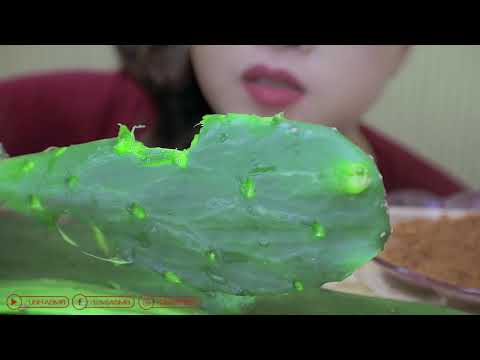 ASMR PRICKLY PEAR CACTUS CHALLENGE , CRUNCHY EATING SOUNDS | LINH-ASMR