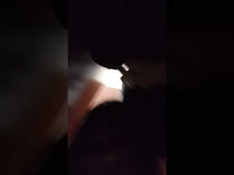 альтушка аня #смешнойшортс #funny #humor #comedy #прикольныекоты #видосыоткота #веселыекоты #юмор