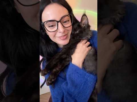 When a certain someone interrupts your asmr 🐈