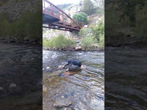 PUSHED UP CHALLENGE IN THE RIVER#everyone #shortsfeed #challenge #river #riversounds #crazylady
