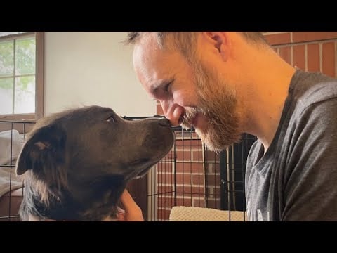 ASMR with my Dog 🐕 Reading YOUR Get Well Soon Wishes! - Whisper Ramble