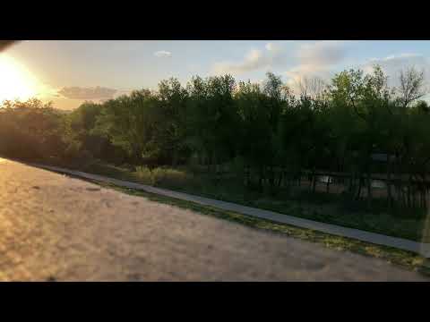 ASMR | Background Noise (Cars, Nature, etc for Studying or Relaxing)