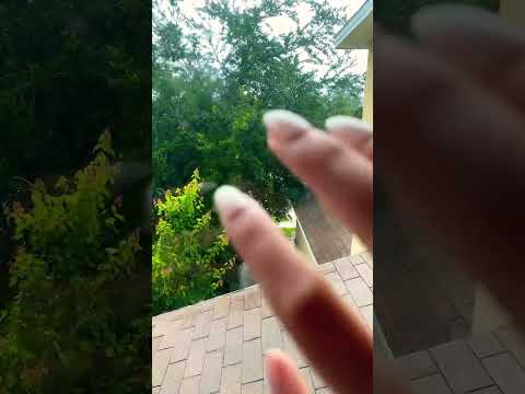 Storming asmr #asmr #fypシ゚viral #fortoupage #tapping #fakenails #rain #rainsounds #sleepy