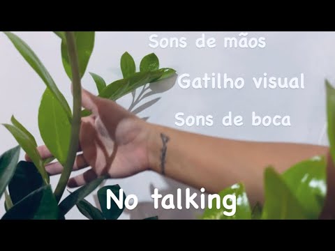 Asmr hand sounds // mouth sounds (caseiro)