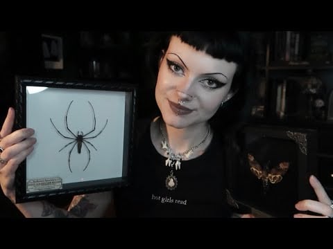 ASMR | My Bug Collection 🕷️🦋 tapping, tracing, etc.