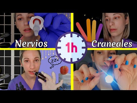 ASMR | 1 Hora Revisando tus Nervios Craneales | Clínica Surr ASMR