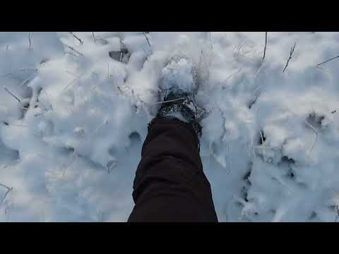 ASMR A Winter Forest Walk – Soft Spoken with an Accent