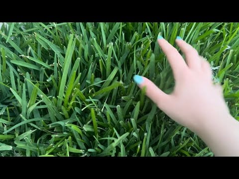 ASMR | Sounds of nature to fall asleep [No talking] ‧₊˚ ⋅🌿🌱𓂃 ࣪ ִֶָ.