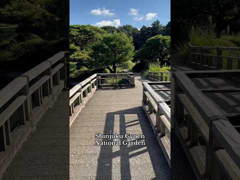 Walk with me through #ShinjukuGyoen #NationalGarden 🪴⛲️ #asmr #asmrtravel #tokyotravel #softspoken