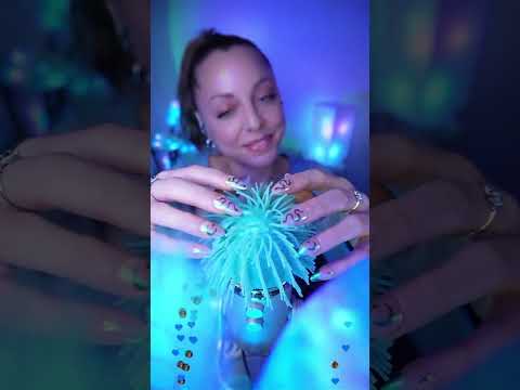 Sea Urchin ASMR 🫠💙💤 #asmr #asmrsounds #asmrvideo #livestream