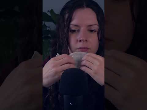 ASMR Ceramic Whale Sounds #asmr #asmrtapping #asmrsounds #asmrscratching