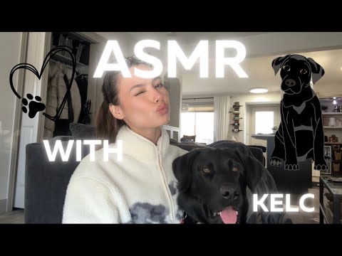 ASMR ~ Puppy Edition ⚠️ CHAOTIC❗A MESS❗I'M GETTING BULLIED BY MY DOG ‼️