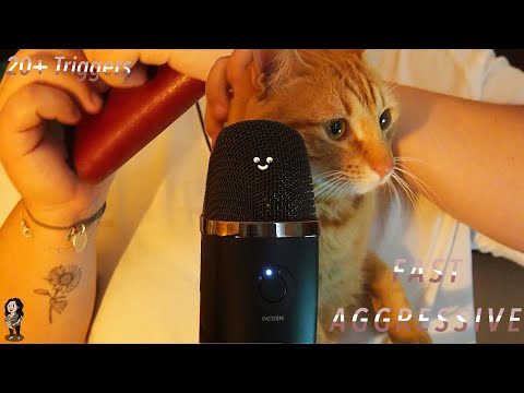 Fast & Aggressive ASMR - 20+ Triggers