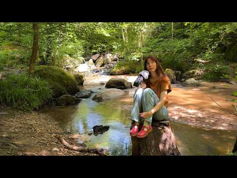 ASMR dans la forêt, près du ruisseau et des oiseaux 🌿