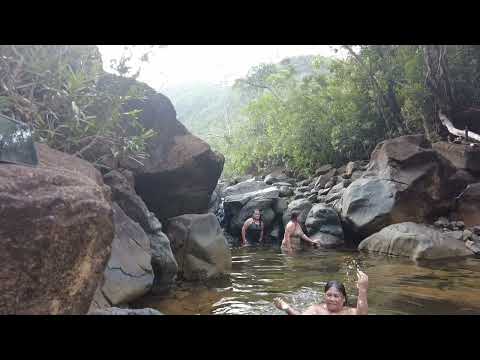 Water Sounds for Sleep or Focus | White Noise | ASMR | Peaceful Forest River, Nature Video 
