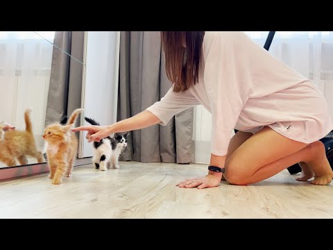 I called the kittens before cleaning... 🐾 Relaxing clean with me
