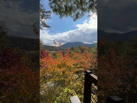Natural ASMR #asmr #visualtingle #relax