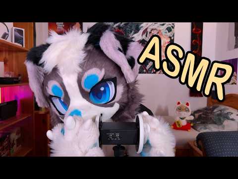 Furry yappSMR