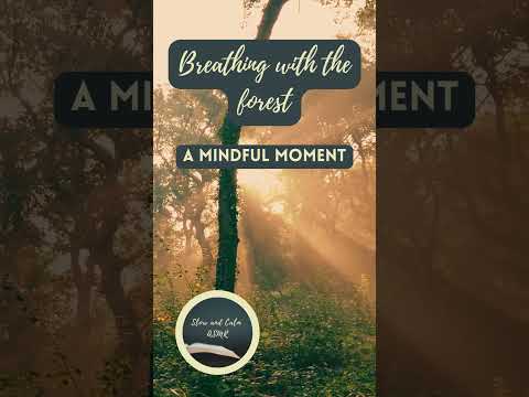 Forest bathing - a mindful moment #asmr #mindfulpresence #meditation # ...