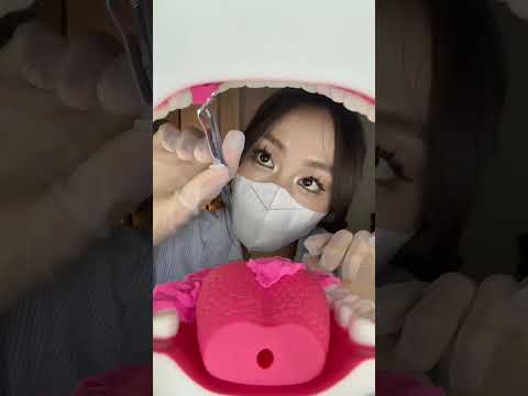 ASMR情景模拟｜模拟牙医🦷为你做口腔护理 看牙是哪个小宝的童年噩梦？ 不过这次 是温柔的牙医姐姐 我们有救了 #ASMR #情景模拟 #模拟牙医 #声控助眠 #解压放松