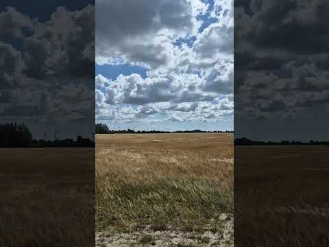 #skies #outside