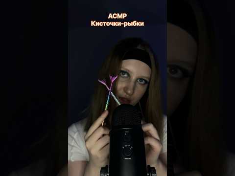 асмр погрызывание кисточки #asmr #asmrsounds #relax #асмрдлясна #tingles #brush