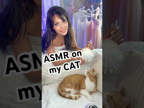 ASMR on my Cat #asmrshorts #purring #asmrvideo