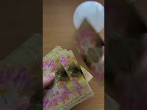 Fairy Oracle Card #oraclecards