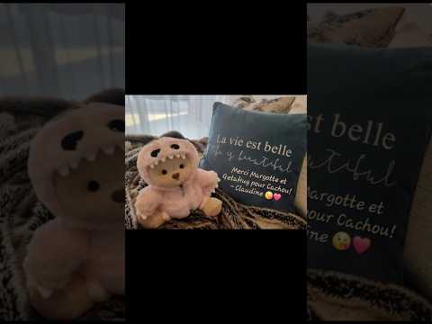 Merci à  " Claudine " La gagnante du concours "GETAHUG "Pour son retour et sa jolie photo🧸🙏#getahug
