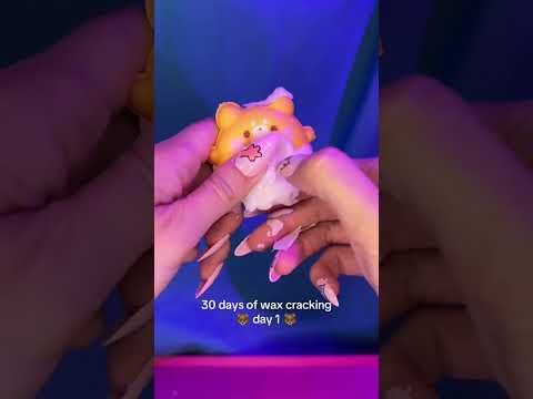 30 days of wax cracking asmr - day 1