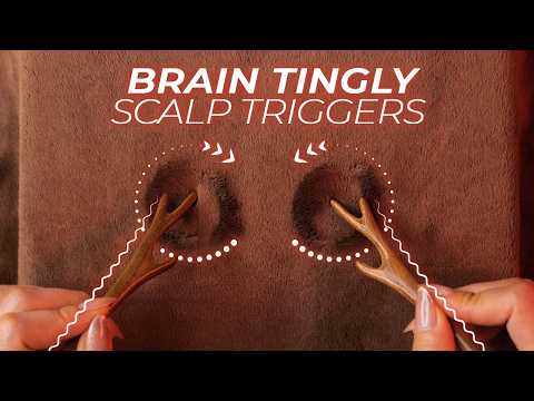 ASMR Brain Tingly Scalp Trigger for Comfort and Sleep (No Talking)