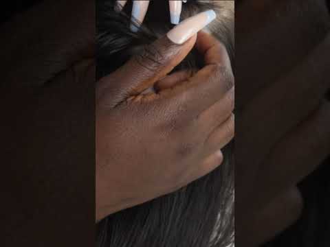 Wild asmr  #hair #shortsfeed #couple #asmr #helpmemakethismakesense