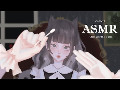 ୨୧⊹ASMR⊹୨୧  Clean your R & L ears  | no talking | cotton swab
