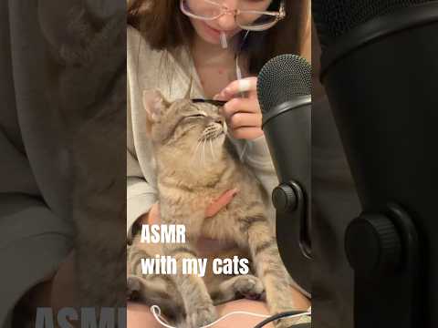 ASMR ☆ with My Cats