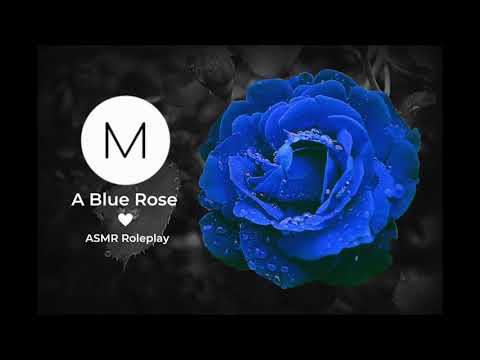 ASMR Roleplay: A Blue Rose [Date with Your Kuudere Classmate], [F4M], [Agnus Part 2]