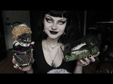 ASMR | My Oddities Collection 🕷️🫀 Showing You My Favorites (tapping, whispering, etc.)