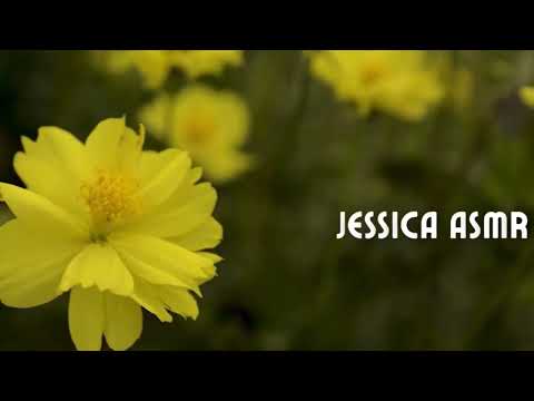 Intro To Jessica ASMR - The ASMR Index