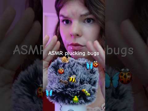 plucking bugs from your hair #asmr 🦋✨