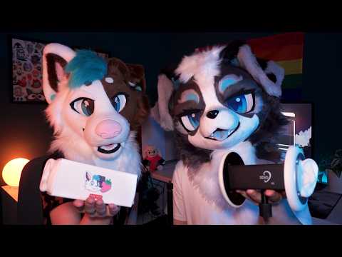 Two dogs, two mics