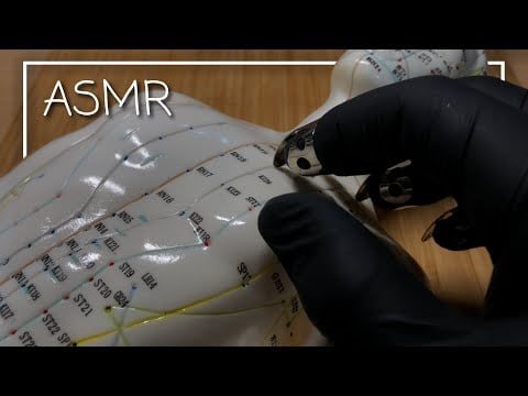 ASMR 1 Hour Acupuncture Doll Tapping & Scratching Spunds for Deep Sleep! (No Talking)