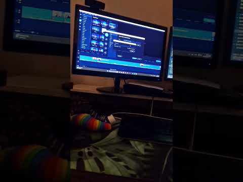 ASMR på svenska - ny video på gång, Bianca gör mig sällskap 😻