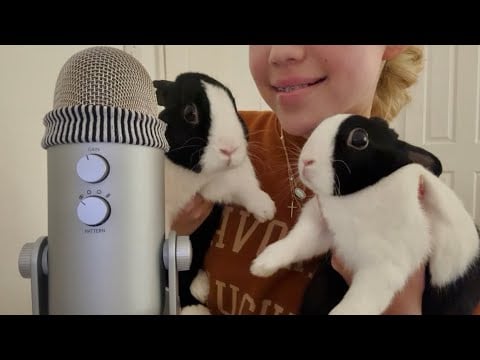 meet my bunnies ASMR! 🐰