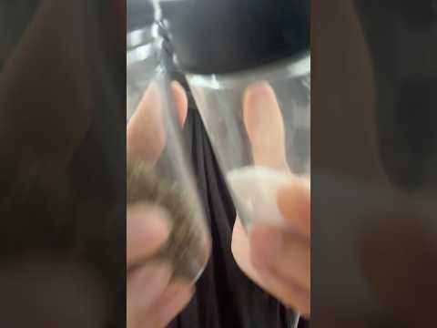 ASMR | Randomly checking on you with Kitchen utensils