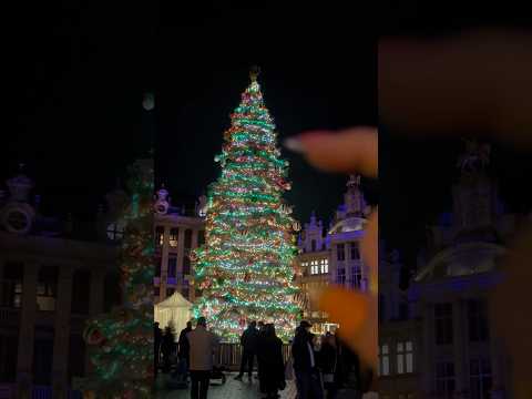 City sounds in Brussels , Xmas edition !🎄 #asmr #satisfyingvideos #layeredsounds #tingles #brussels