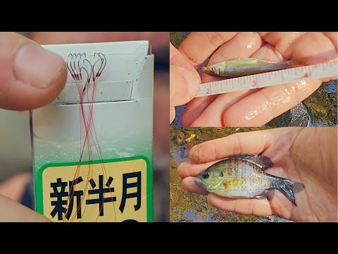 ASMR Microfishing - Catching Tiny Fish with Tiny Hooks