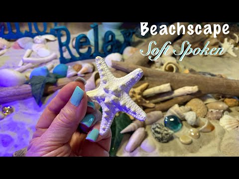 ASMR Beach Garden (Soft spoken) Arranging shells & decor with ocean sounds.