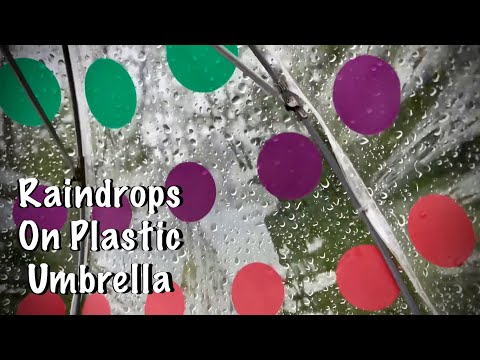 ASMR Rain on plastic umbrella (No talking) Running water/Birds/Country walk in Tennessee!