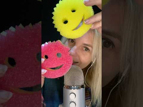 ASMR FR / Laquelle de ces deux éponges préfères-tu ? #asmrfr #asmrfrançais #shortsasmr